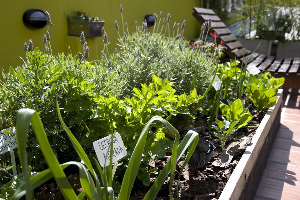 Eco Pampa Palermo Hostel Buenos Aires Luaran gambar